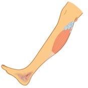 Physical Examination Physical Exam